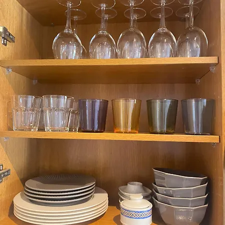 Coconut In Garden Playa Feñabe