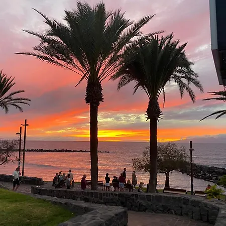 Coconut In Garden Apartment