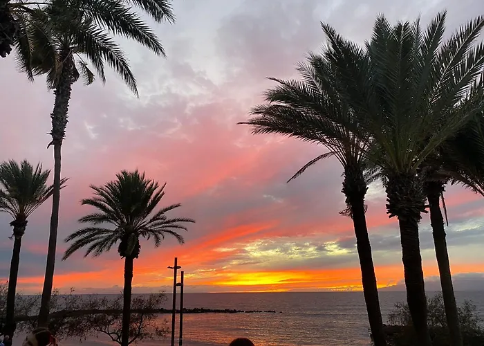 Coconut In Garden Playa Feñabe