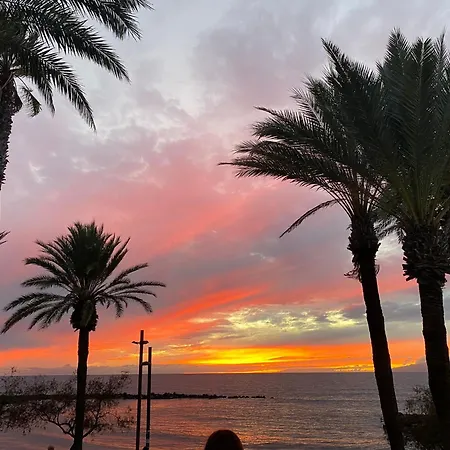 Coconut In Garden Playa Feñabe