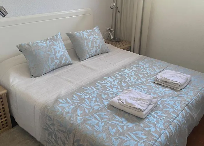 Coconut In Garden * Playa Feñabe